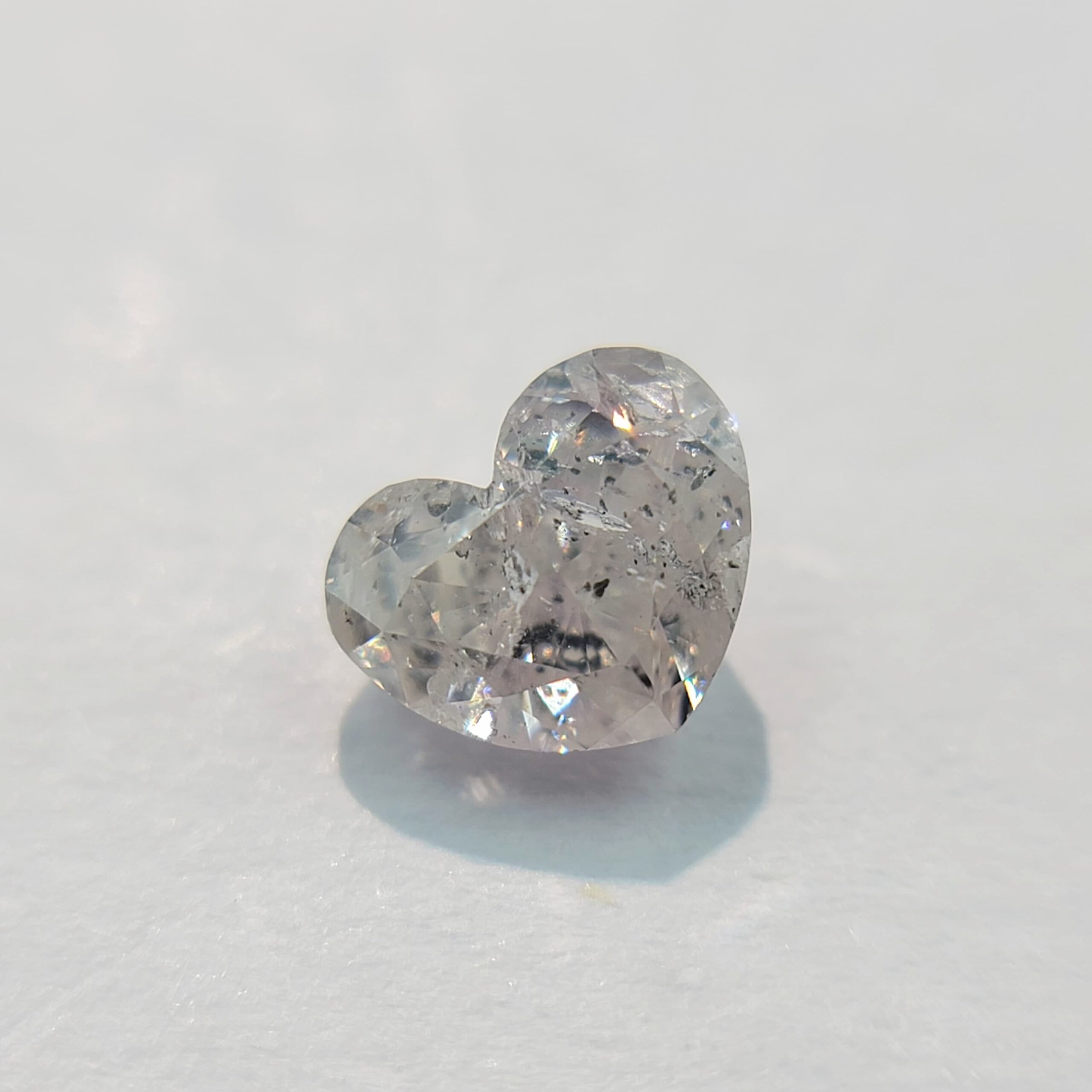 WhatsApp Image 2025-02-01 at 5.03.36 PM